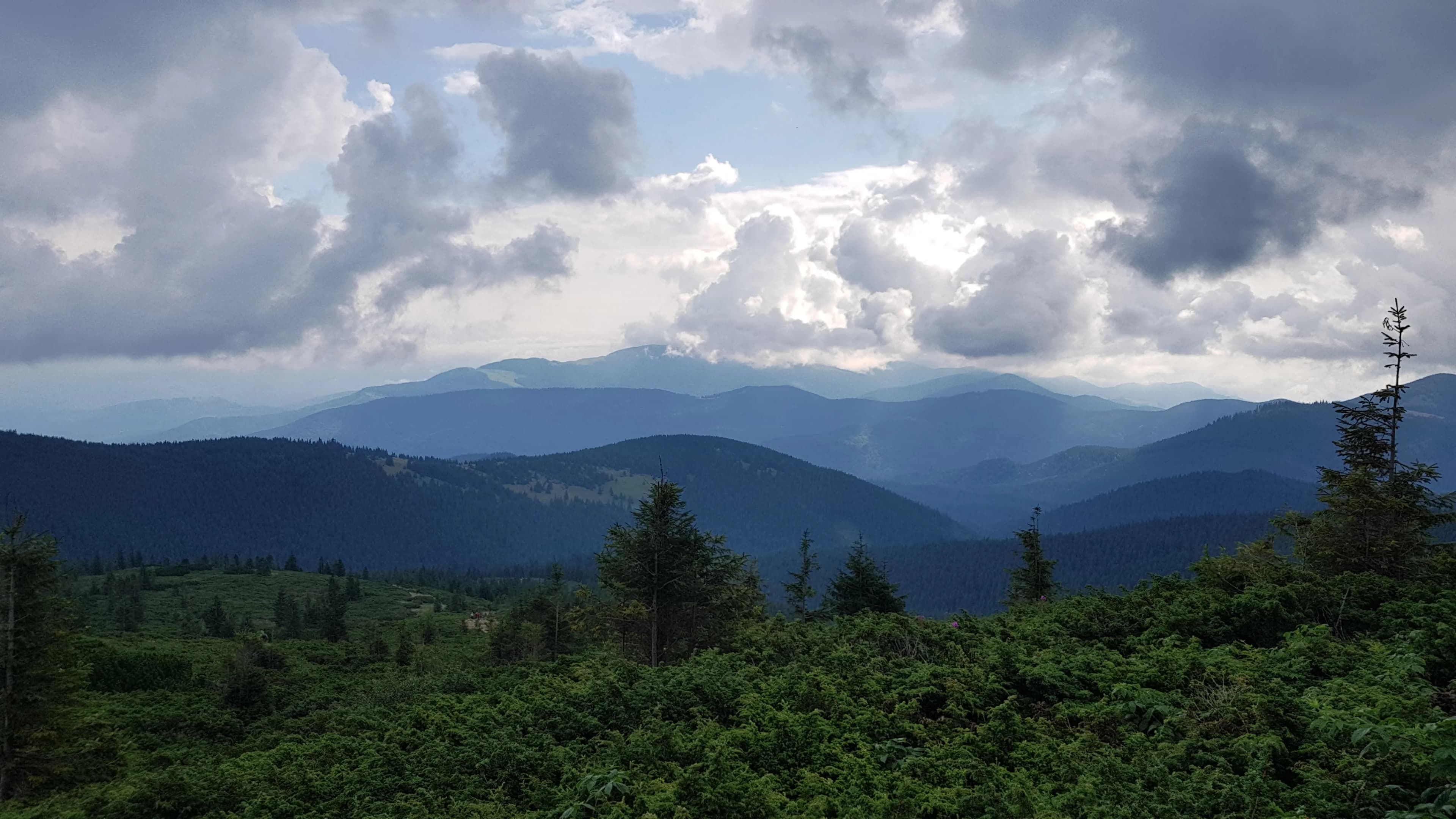 Carpathian Mountains in Ukraine